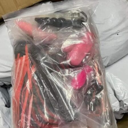 BULK SEX TOYS PALLETS