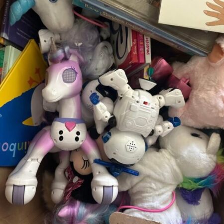 TOY PALLET SALES